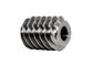 Industrial Steel Worm Gear 15.24mm Outside Diameter 4 Lead M 0.9 C1144